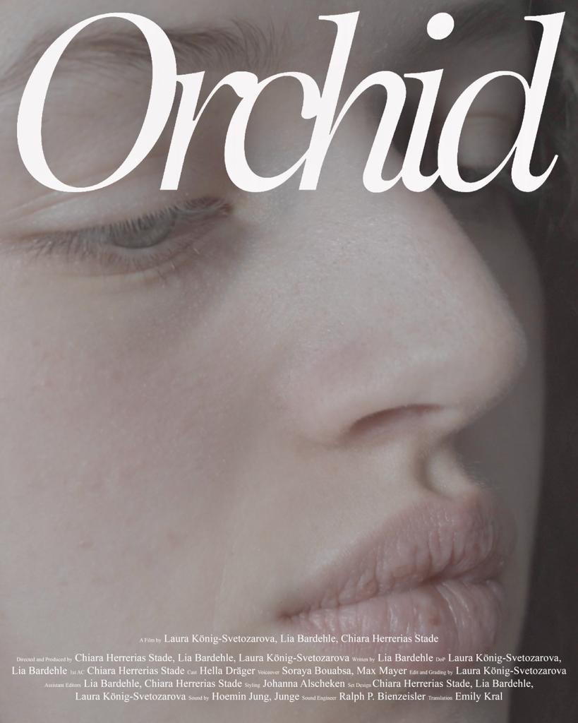 PHOTO-2023-07-10-22-17-18