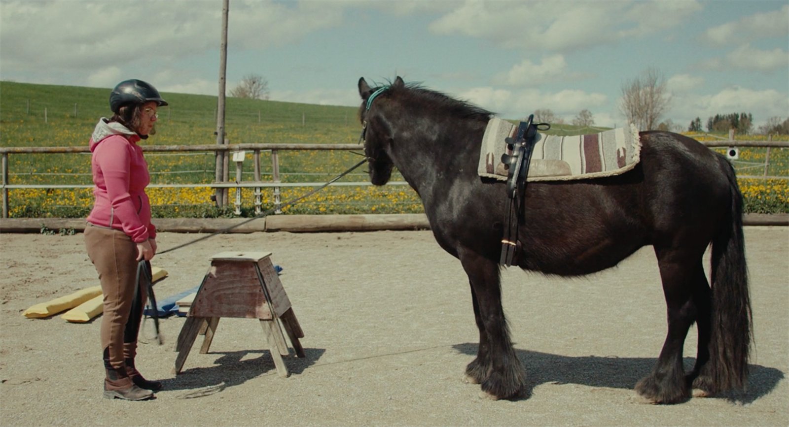 Bildschirmfoto-2023-08-30-um-13.19.33