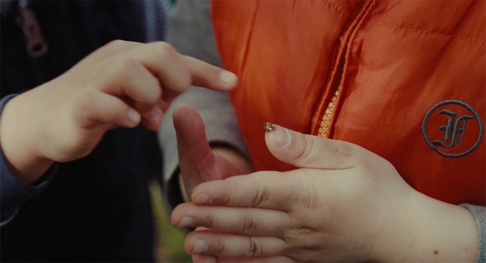 Bildschirmfoto-2023-08-30-um-13.25.21