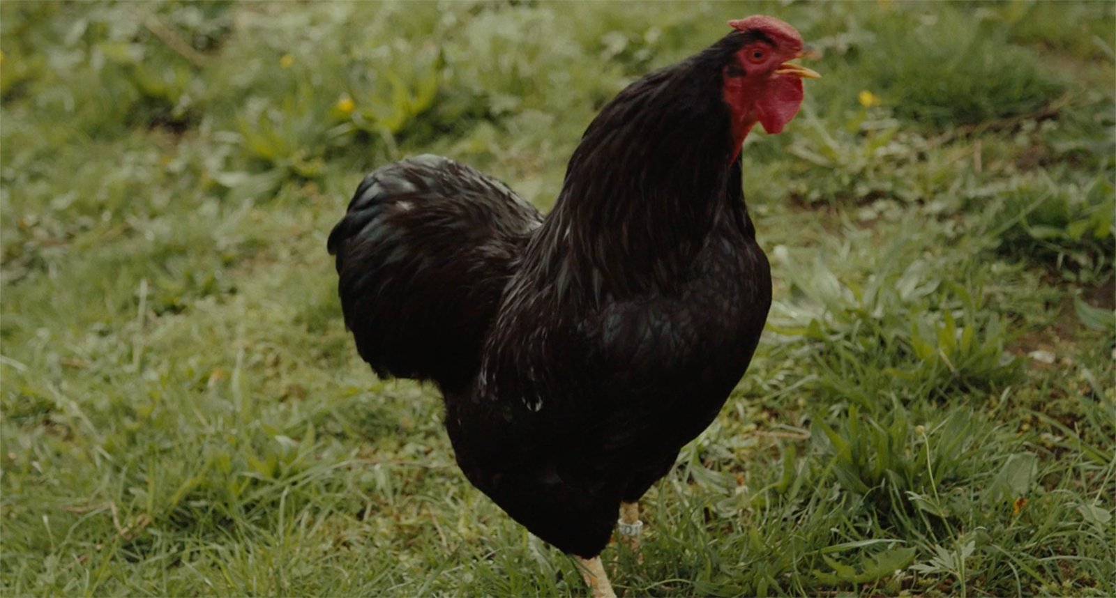 Bildschirmfoto-2023-08-30-um-13.26.14