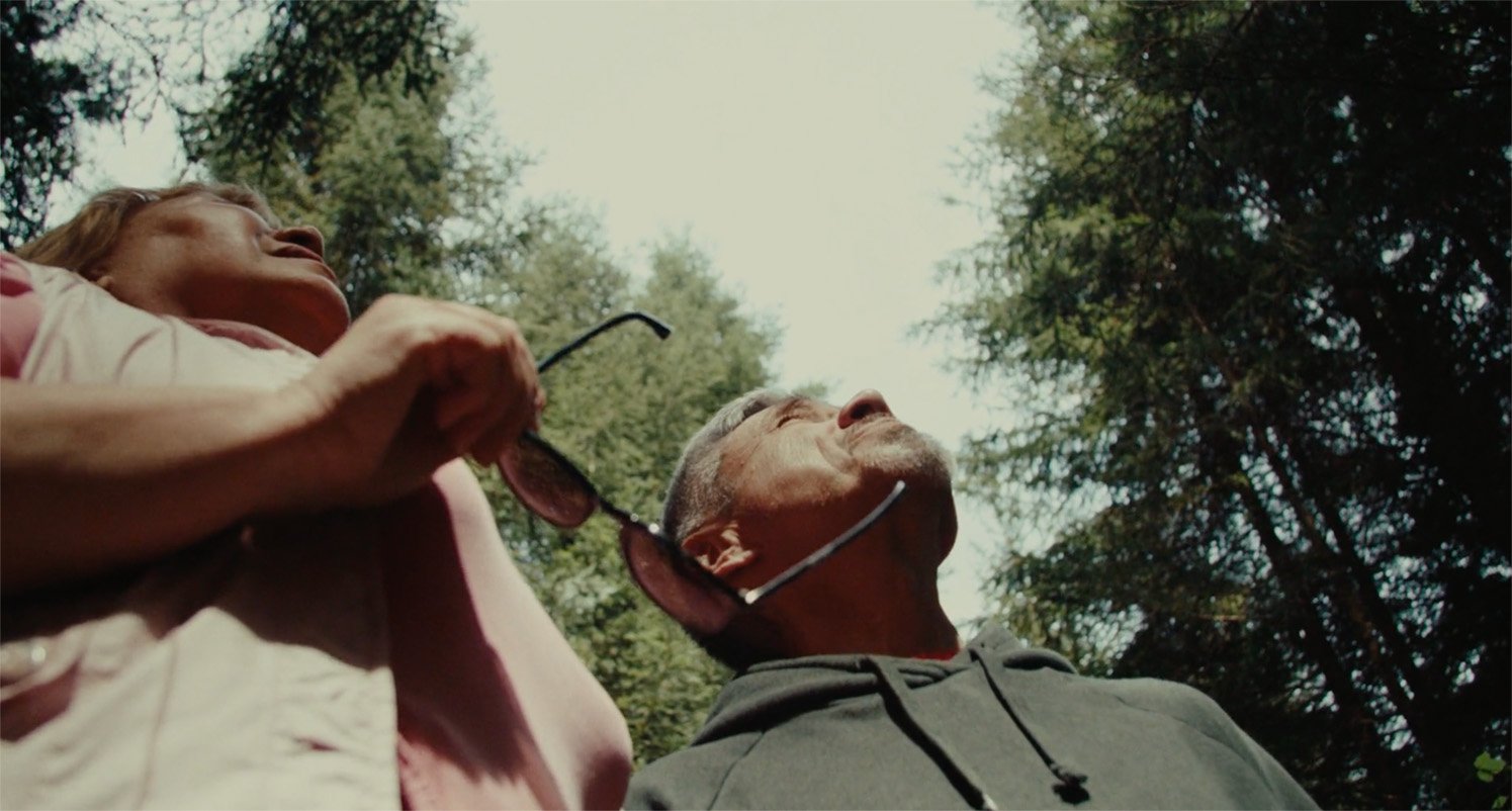 Bildschirmfoto 2023-08-30 um 13.31.33