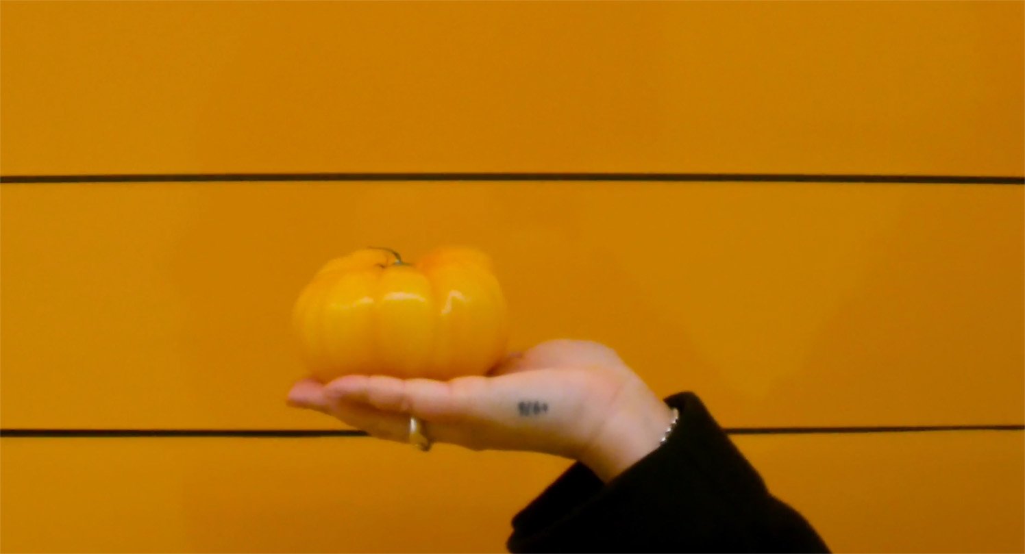 Bildschirmfoto 2024-04-18 um 11.40.53