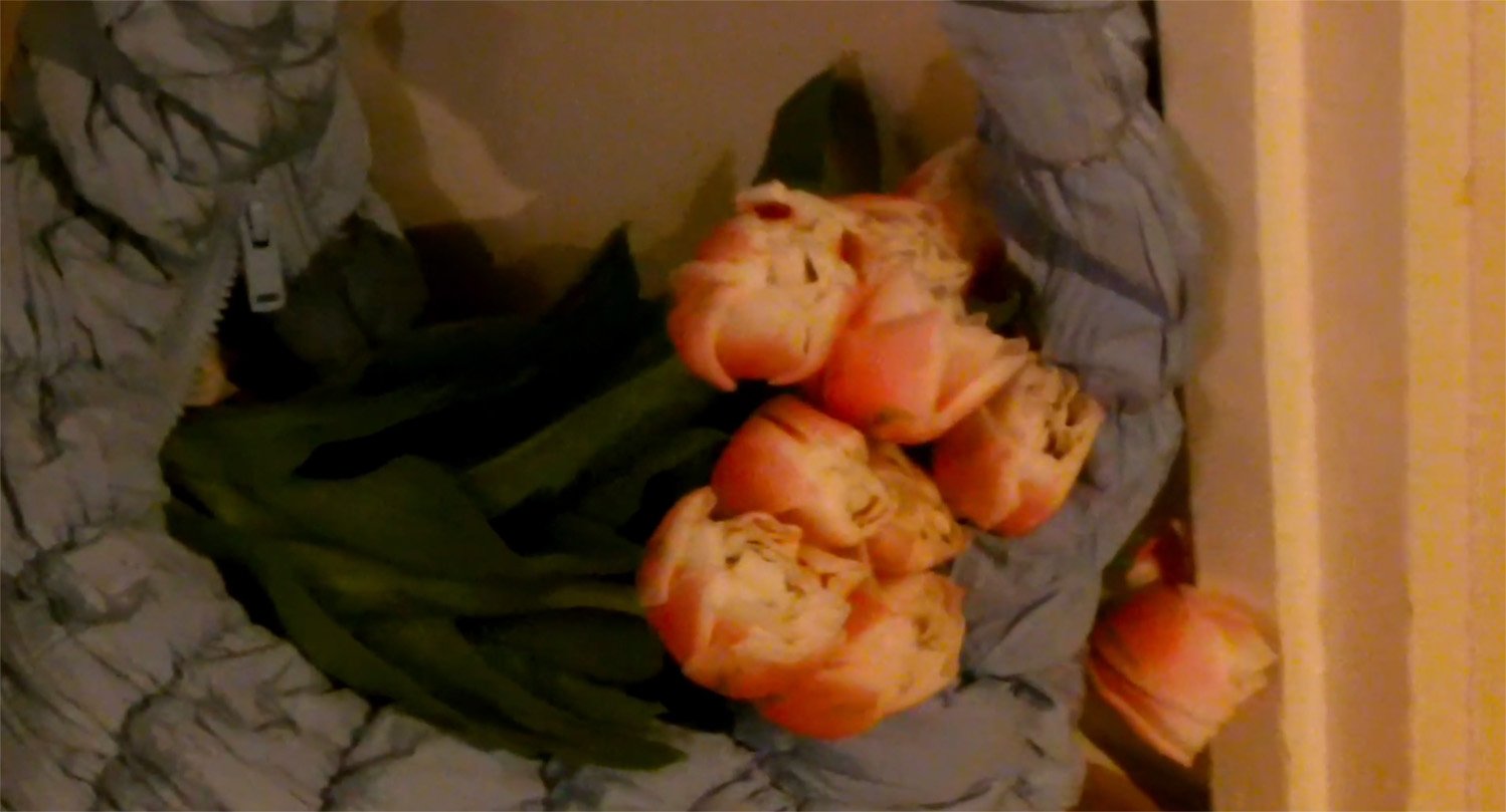 Bildschirmfoto 2024-04-18 um 11.41.33