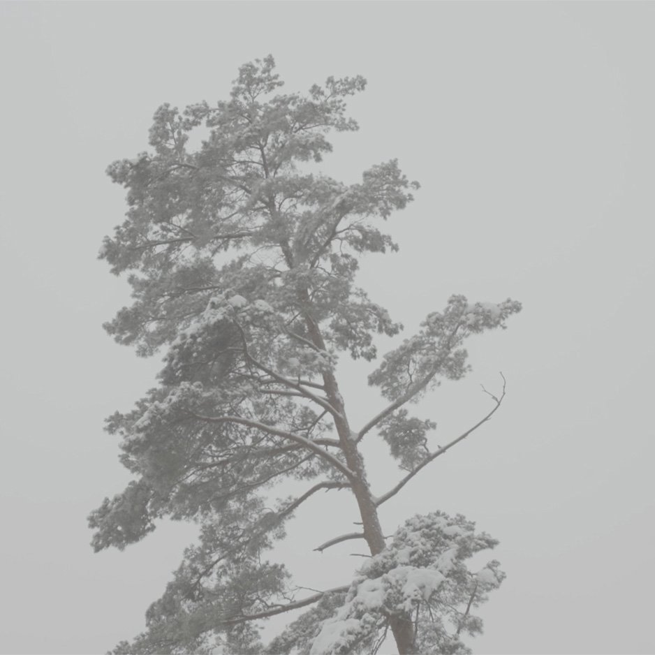 Bildschirmfoto 2023-09-16 um 12.42.22